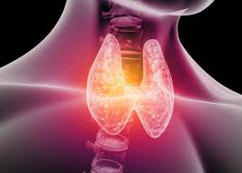 thyroid and nutrition