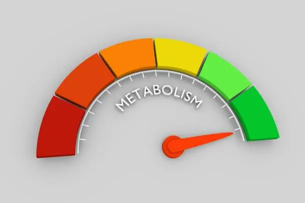 metabolic wellness and reset